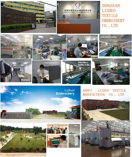 3D Vovelty Embroidered Patch Heat Transfercustom Arm Badge for Hat and Garment Accessories