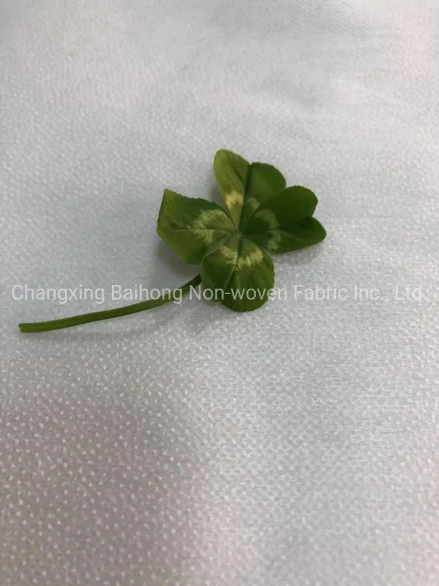 55GSM 100%Polyester Width 100-150cm Pes/PA Glue Supplier Washable Dry Cleanable Manufacturer Double DOT Thermal Bonding Nonwoven Fusible Interlining Factory