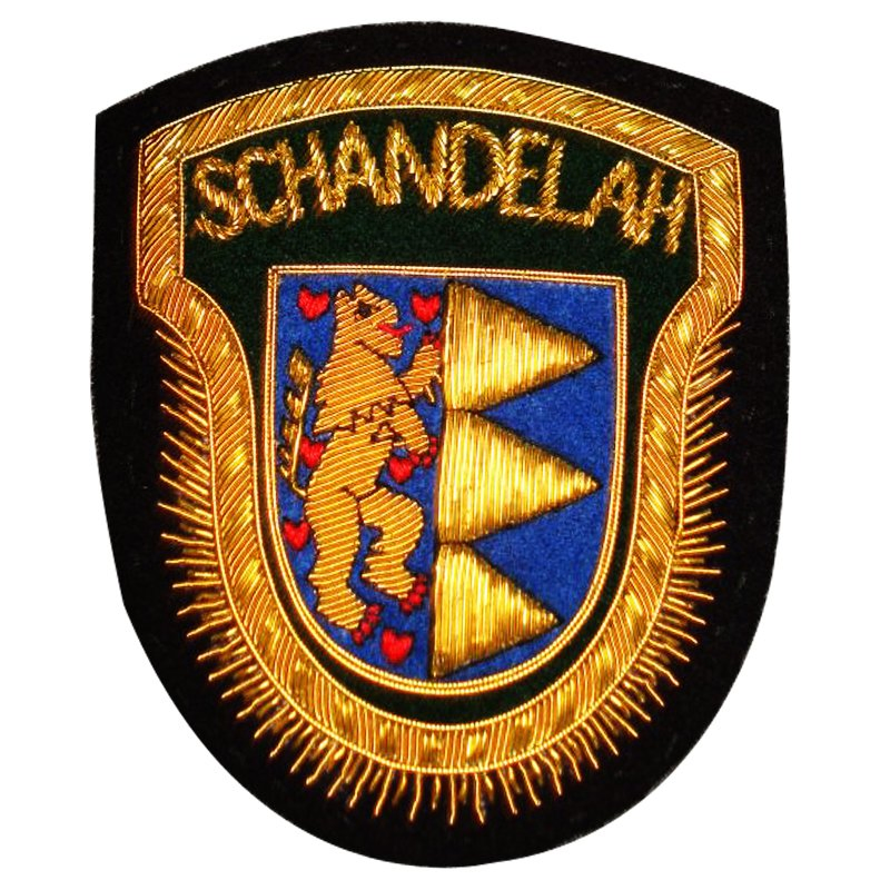 Customized Police Clothing Embroidery Patch  /Embroidered Patches/Emblem with Stick on Back for Clothes/Shoes/Bags (39)