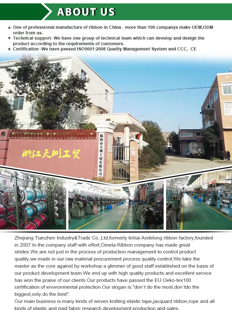 High Quality Nylon/Polyester Customized Woven Jacquard Elastic Band/Webbing