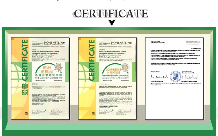 High Quality Nylon/Polyester Customized Woven Jacquard Elastic Band/Webbing