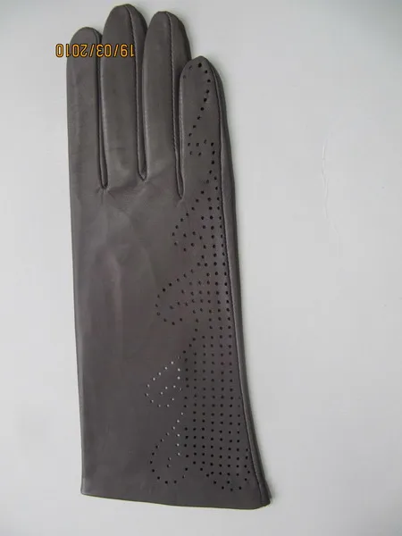 Lady Fashion/Winter/Warm Leather Gloves (JYG-24136)