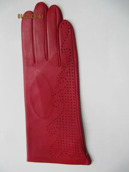 Lady Fashion/Winter/Warm Leather Gloves (JYG-24136)