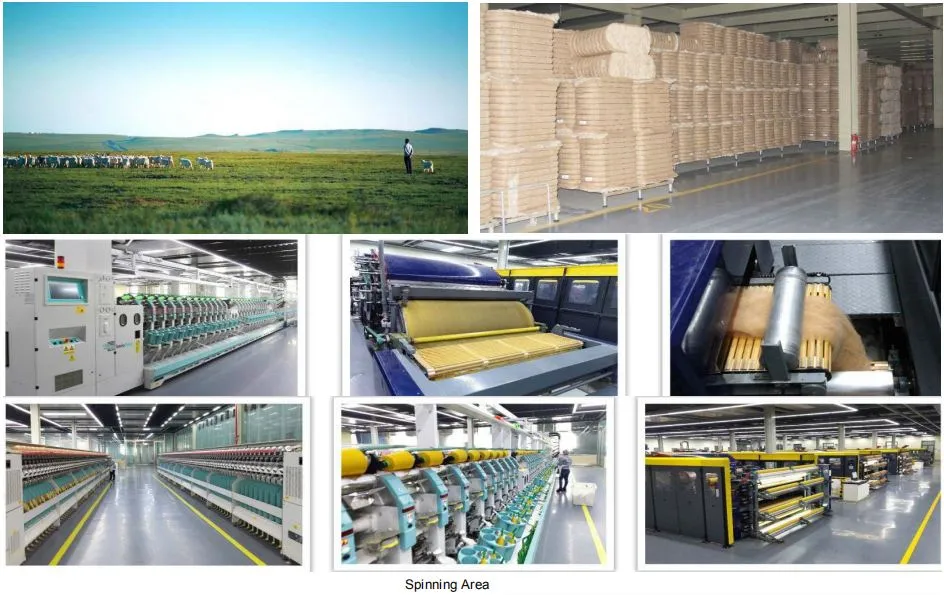 New Arrival Wool and Lurex Mixed Luxury Ladies Scarf