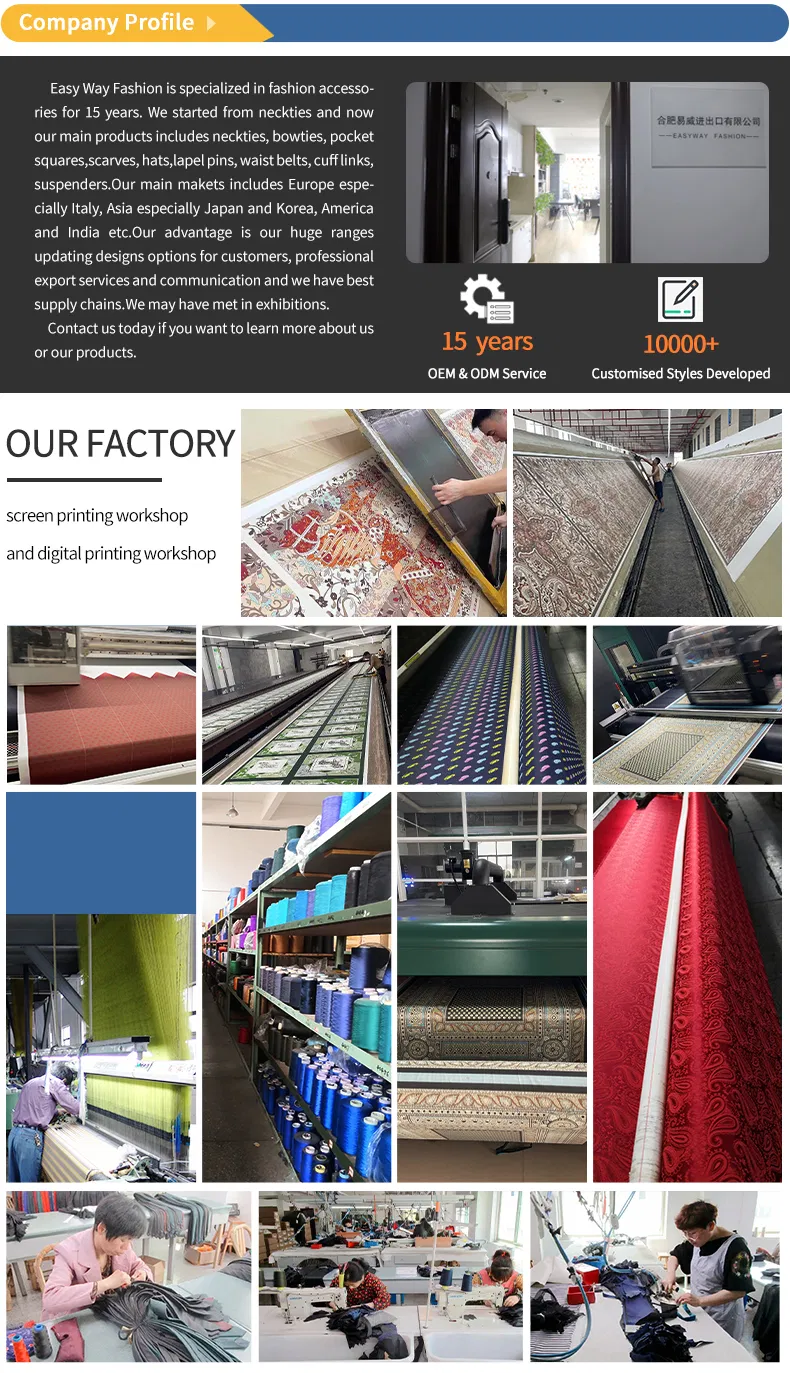 New Design Polyester Woven Necktie (50026-5)