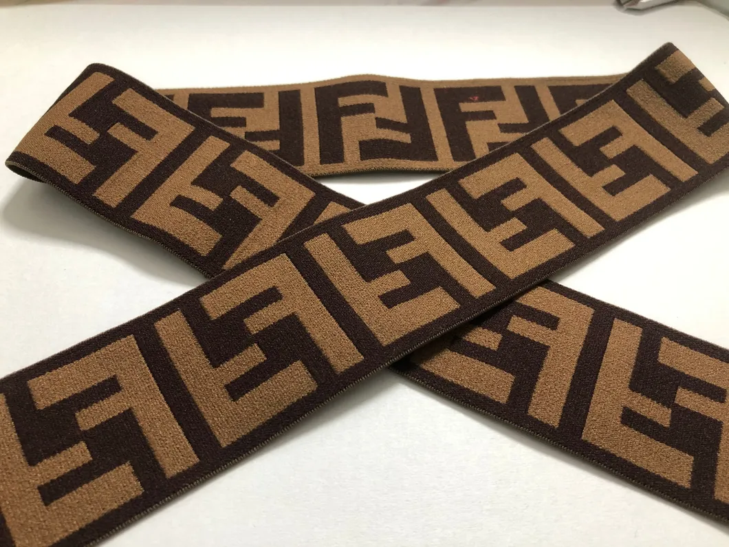 Soft High Tenacity Garment Reusable Custom Woven Jacquard Nylon Elastic Webbing for Underwear