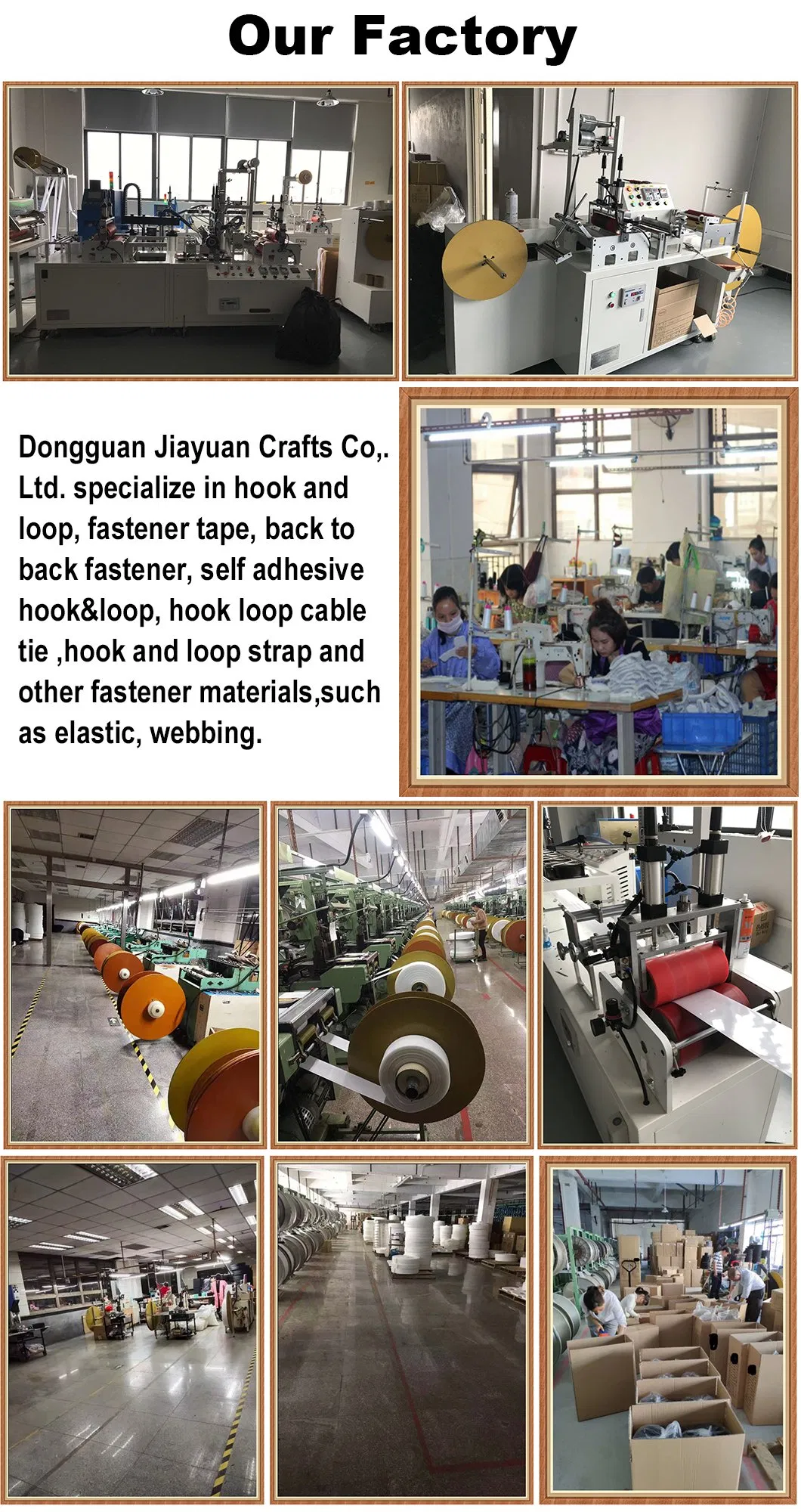 Webbing Plastic Buckle Bands Buckles Adjustable Buckle and Strap